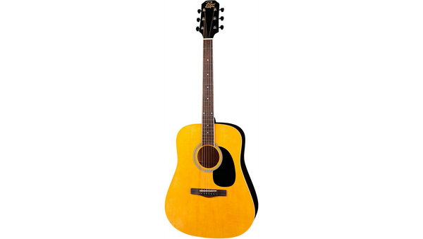 Rogue rd80 store dreadnought acoustic guitar