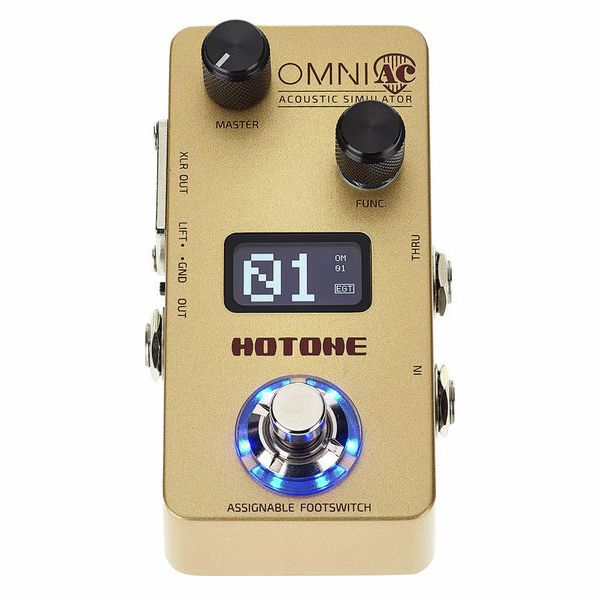 HoTone Omni AC Acoustic Simulator – MODRMXTECHNOSHOP