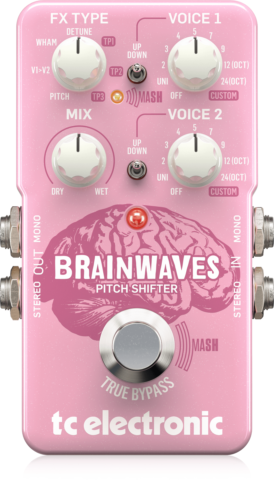 TC Electronic BrainWaves